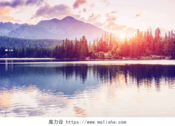 日出下美丽的森林倒映在清澈的湖泊中